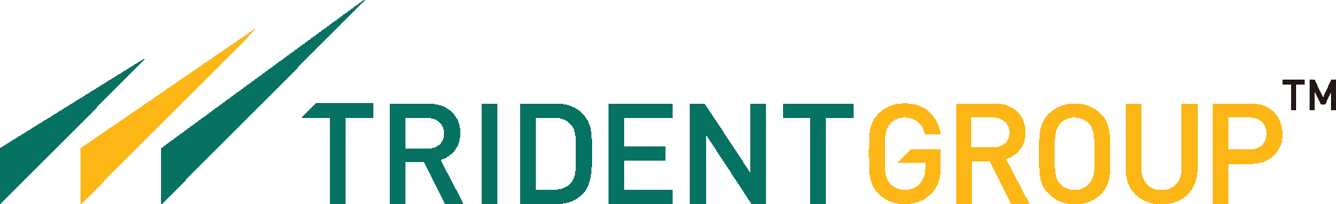 Trident Group